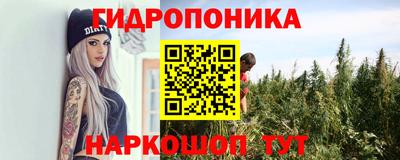 тгк Славянск-на-Кубани