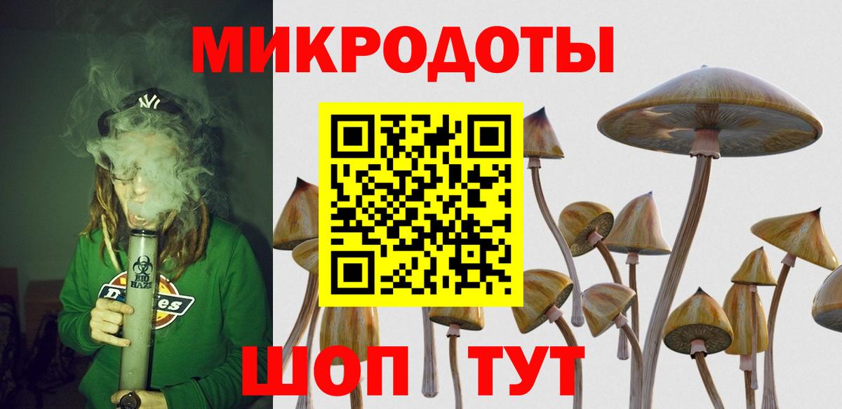 Нефтекумск  Псилоцибиновые грибы GOLDEN TEACHER  Вход с VPN 